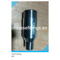 Forged Fittings Male Thread Stainless Steel Swage Nipple